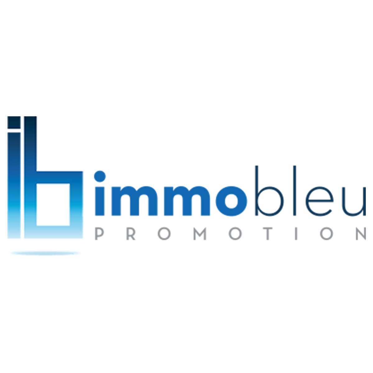 IMMOBLEU PROMOTION