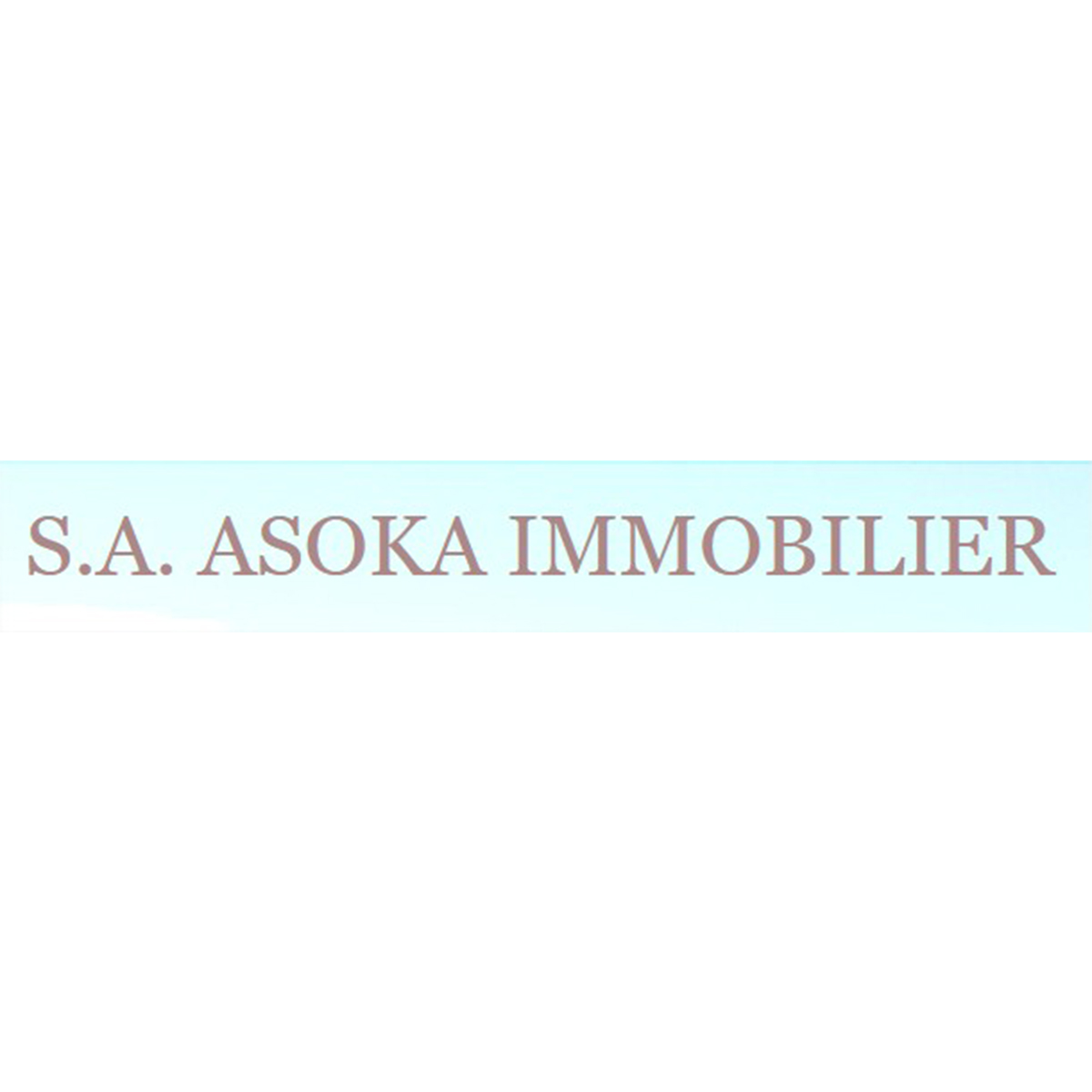 Société ASOKA Immobilière